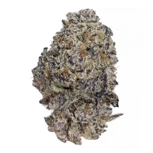 Oreoz (Premium Collection)