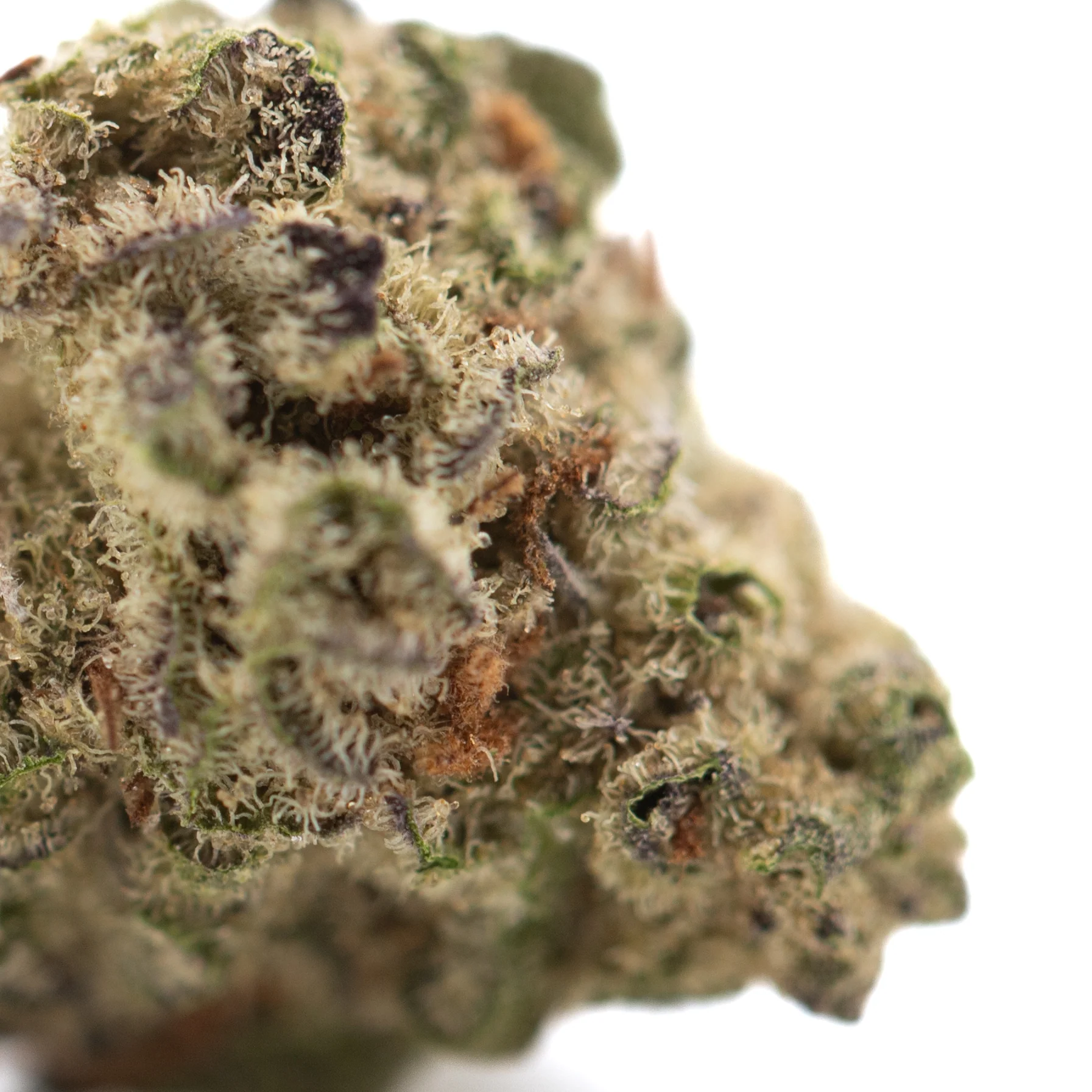 GAS - Image 3