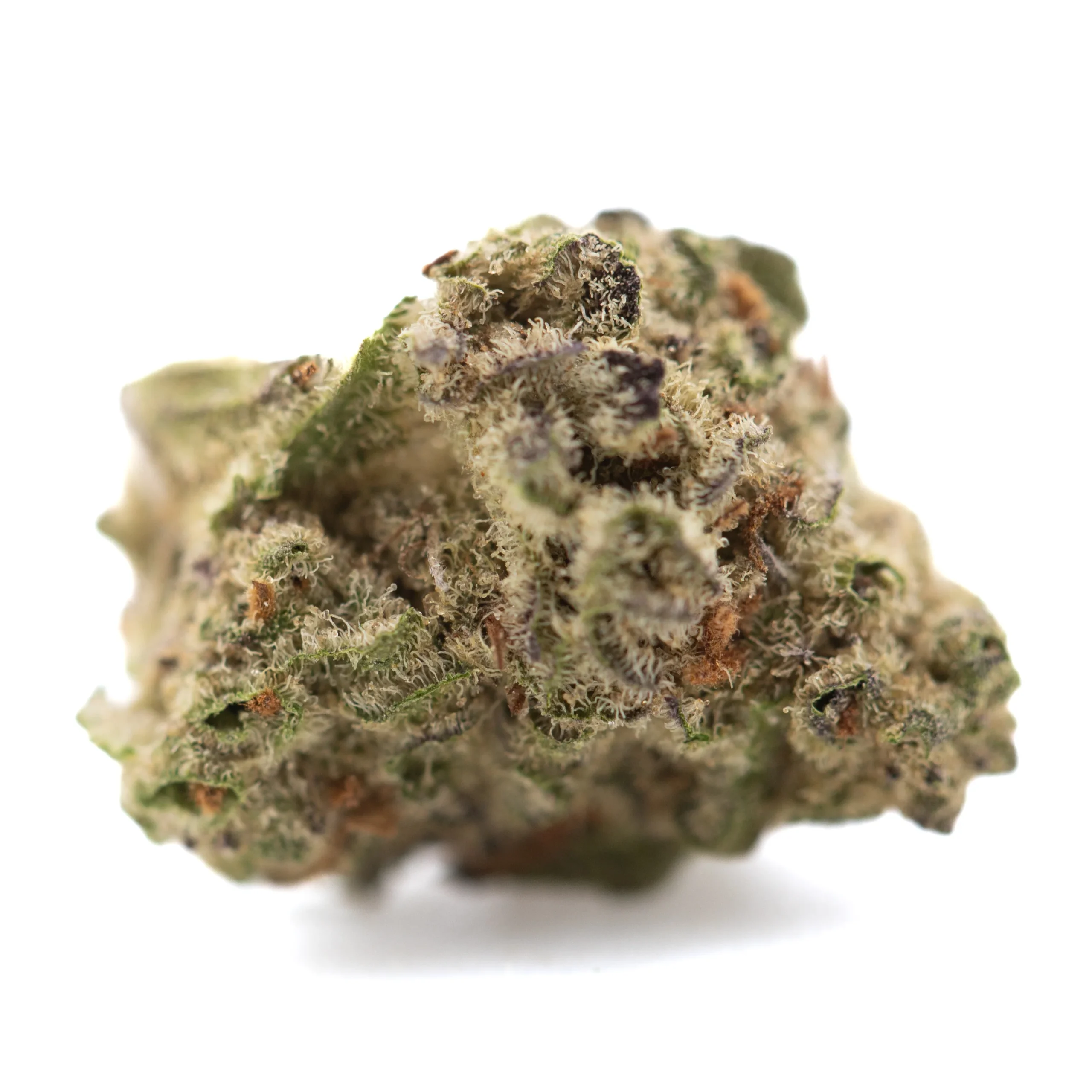 GAS - Image 2