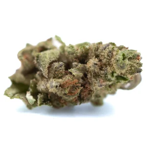Moroccan Peach